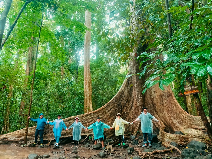 khu du lịch ở Đồng Phú - Khu du lịch rừng nguyên sinh Tây Cát Tiên  