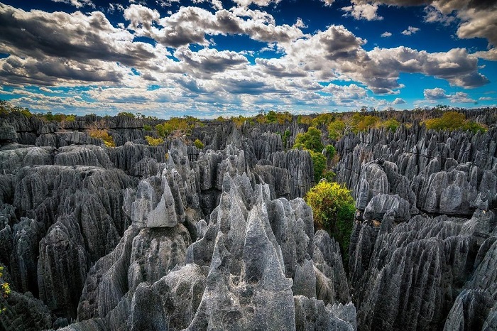 Rừng đá Tsingy là khu rừng đá độc đáo trên thế giới với những cột đá chót vót