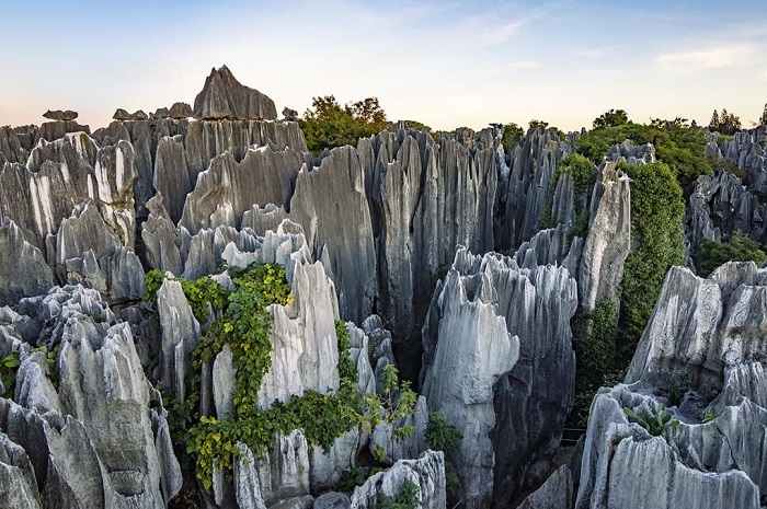 Rừng đá Shillin là khu rừng đá độc đáo trên thế giới nằm ở Trung Quốc