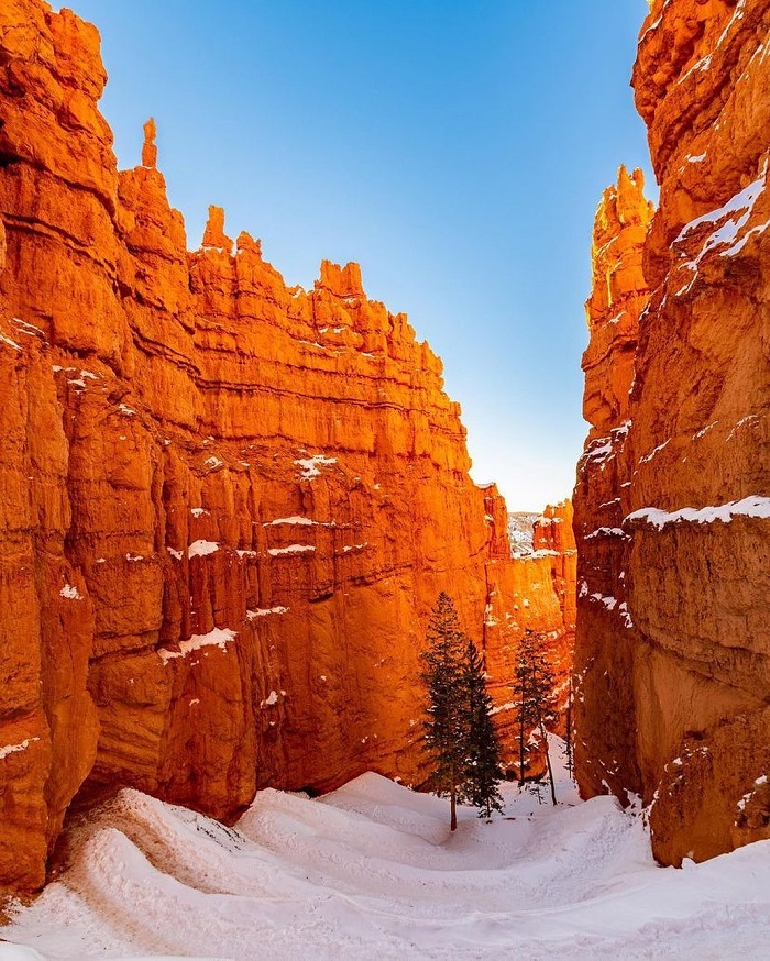 Bryce Canyon là khu rừng đá độc đáo trên thế giới nằm ở Mỹ