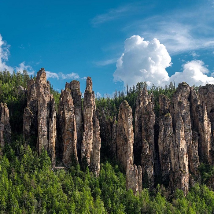 Rừng đá Lena là khu rừng đá độc đáo trên thế giới nằm tại Nga