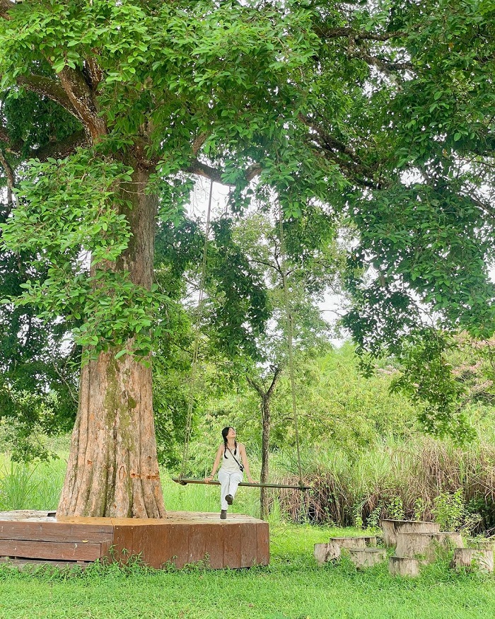 Nam Cát Tiên là khu sinh thái đẹp ở miền Nam không khí trong lành mát mẻ