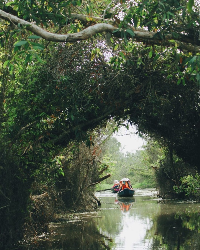 Làng nổi Tân Lập là khu sinh thái đẹp ở miền Nam cảnh đẹp nguyên sơ