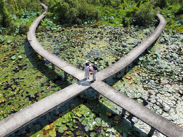 Làng nổi Tân Lập là khu sinh thái đẹp ở miền Nam với nhiều góc check in đẹp