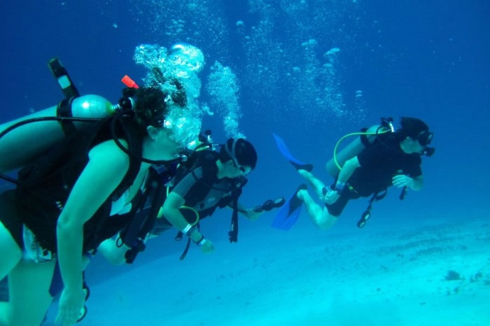 Lặn biển là hoạt động thú vị ở quần đảo Ballestas Peru 