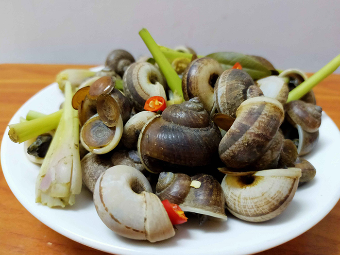 Check in the golden rice season of Tinh Bien - An Giang mountain snail