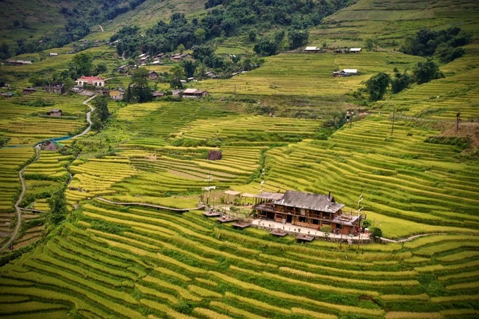 Sailing Sapa is a cafe with rice field view in Sapa located in Ban Pho