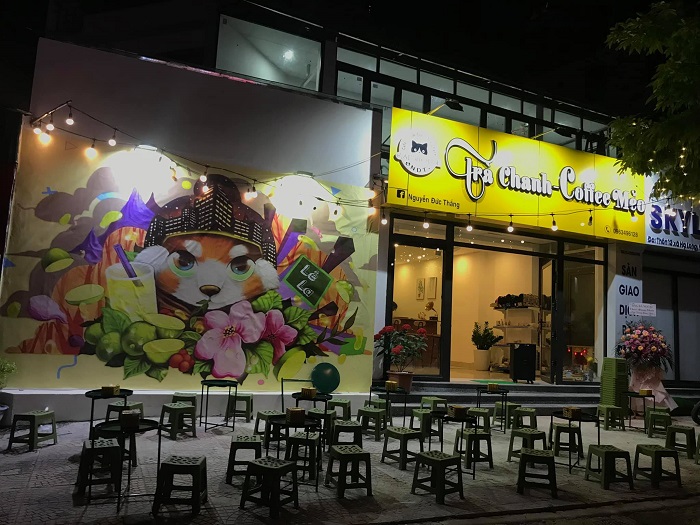 quán cafe đẹp ở Vân Đồn - Coffee Mèo
