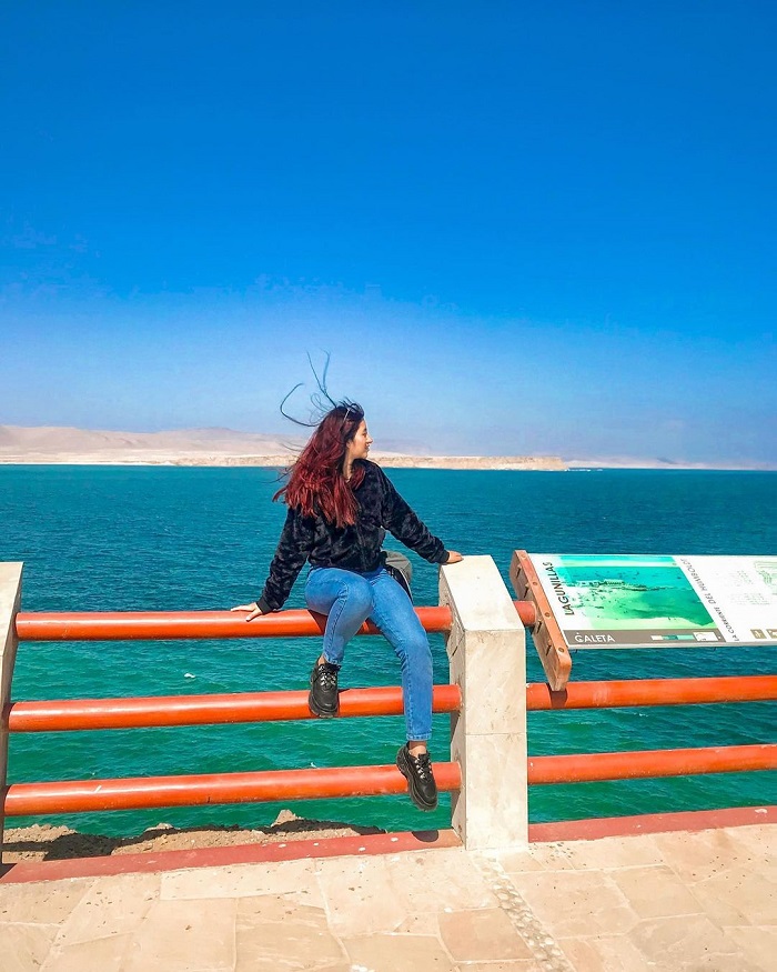 Khám phá quần đảo Ballestas Peru