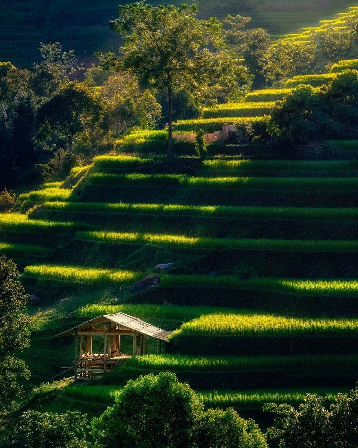 Tây Bắc Việt Nam cũng là nơi có ruộng bậc thang đẹp ở châu Á không thể bỏ qua