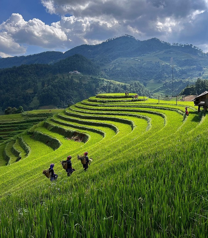 Tây Bắc Việt Nam cũng là nơi có ruộng bậc thang đẹp ở châu Á