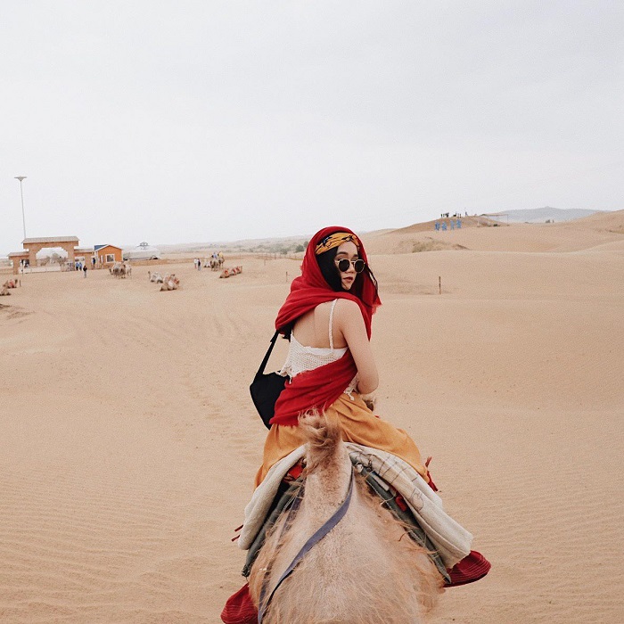 Những điều cần làm ở sa mạc Kubuqi - Gặp gỡ và cưỡi lạc đà