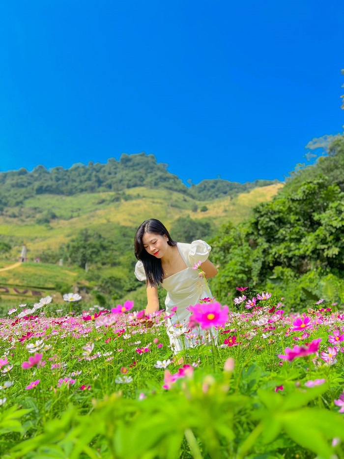 Thac Mo Ecolodge Lao Cai has many beautiful flower gardens