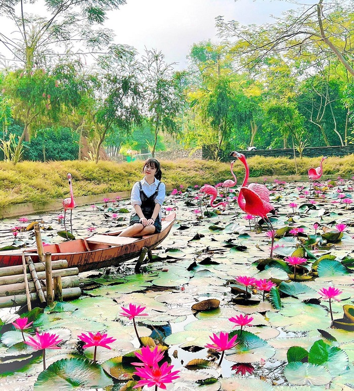 Thac Mo Ecolodge Lao Cai has a water lily pond