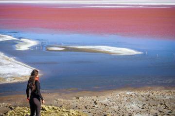 Chiêm ngưỡng hồ muối Laguna Colorada màu hồng đẹp tựa cổ tích ở Bolivia