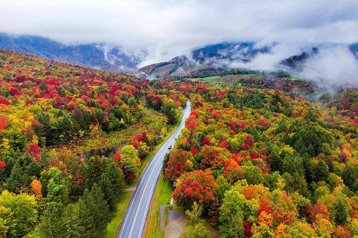 Rừng Quốc gia Núi Xanh - địa điểm ngắm lá mua thu ở New England
