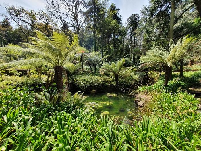Du lịch Sintra Bồ Đào Nha