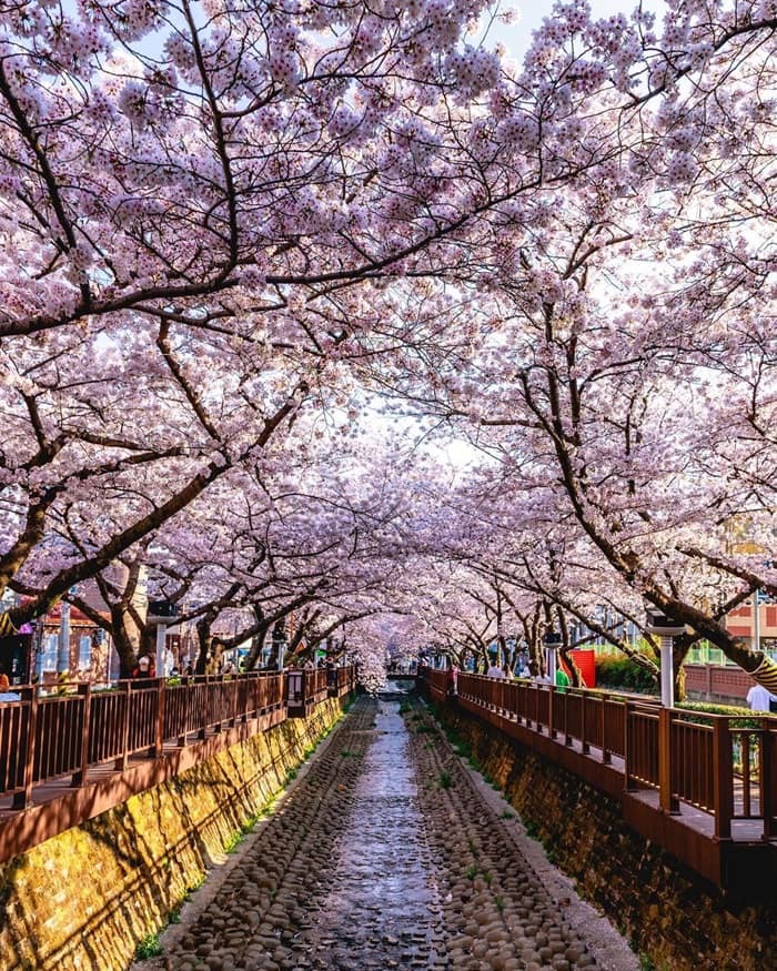 Vẻ đẹp của suối Yeojwa Hàn Quốc