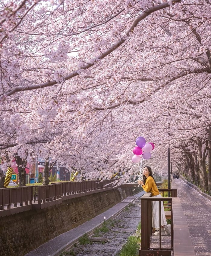 Vẻ đẹp của suối Yeojwa Hàn Quốc