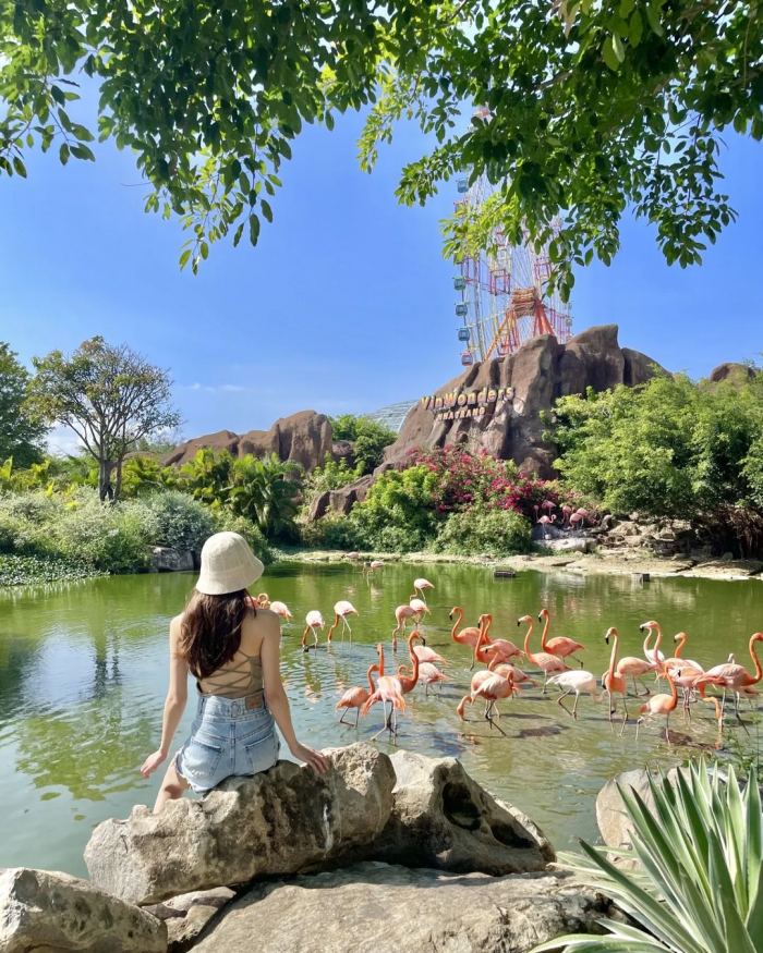 Kinh nghiệm du lịch vịnh Nha Trang Hòn Tre