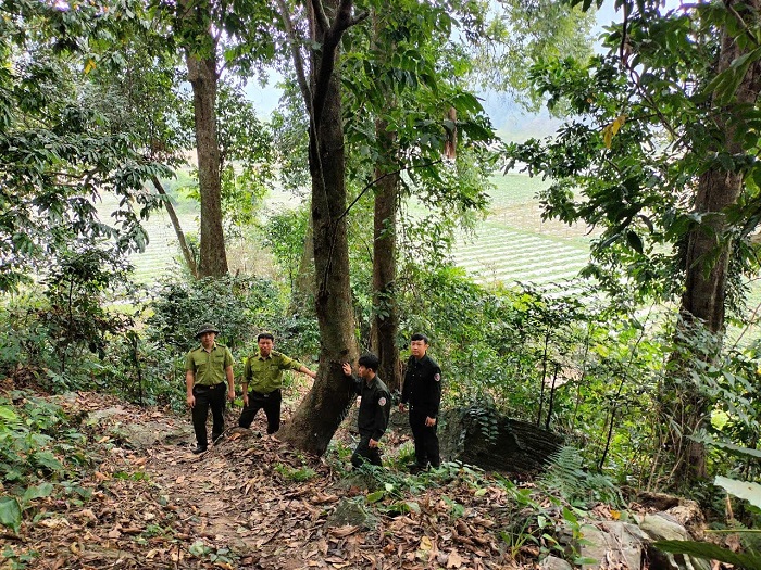 Bản Bung Tuyên Quang nằm giữa núi rừng, không khí mát mẻ dễ chịu