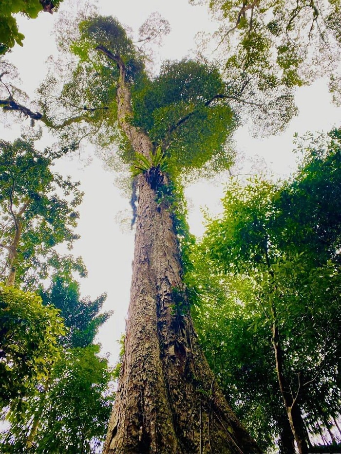 Bản Bung Tuyên Quang mang đến nhiều trải nghiệm thú vị cho du khách