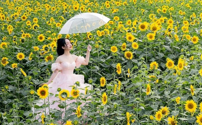 Bản Bung Tuyên Quang có nhiều điểm check in đẹp cho du khách