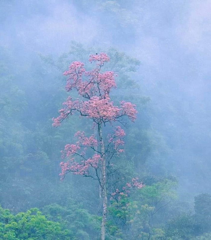 Bản Bung Tuyên Quang mang đến nhiều trải nghiệm khó quên