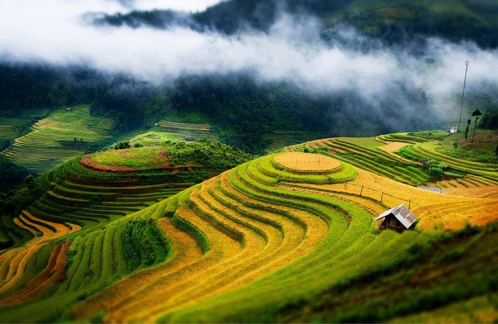 Việt Nam là điểm du lịch bụi tuyệt nhất thế giới với vô vàn cảnh đẹp