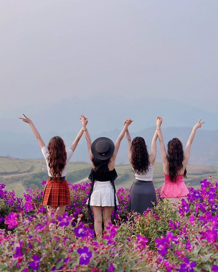 Đồi hoa tím Suối Bon Sơn La ở đâu?