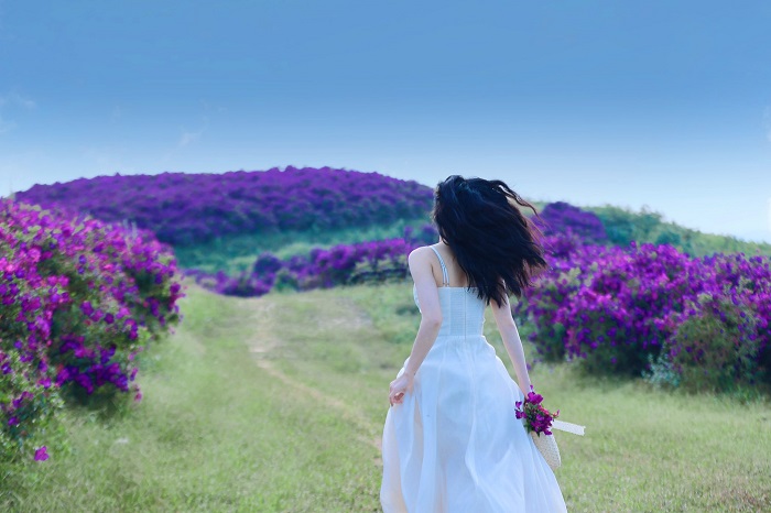 Đồi hoa tím Suối Bon Sơn La hấp dẫn du khách