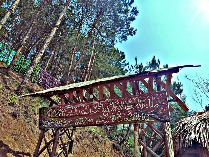 Đồi thông Tả Lèng Lai Châu thích hợp khám phá vào ban ngày, đặc biệt là buổi sáng