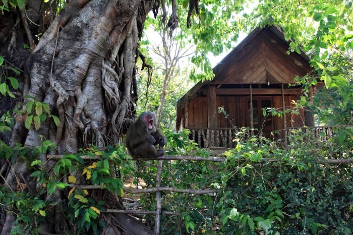 Du lịch Đắk Liêng Đắk Lắk Buôn cổ M'Liêng