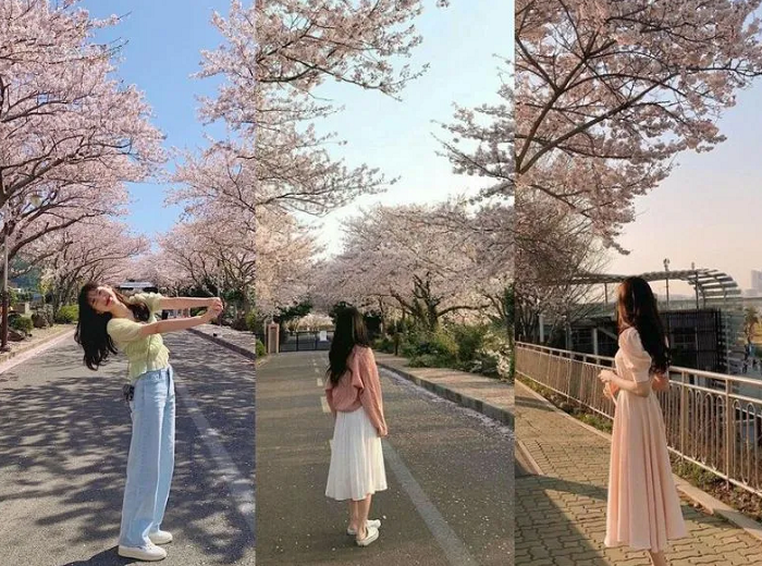 Du lịch Hàn Quốc mùa xuân - địa điểm ngắm hoa đào