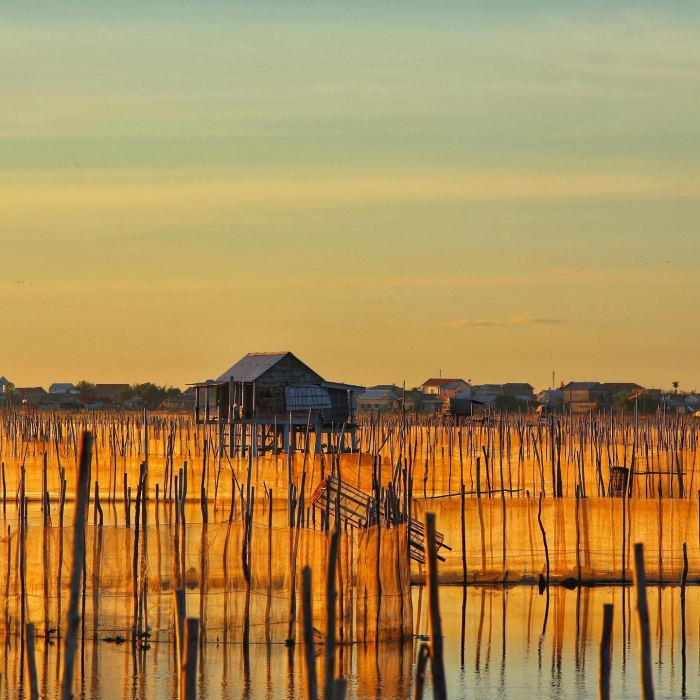 Du lịch Huế mùa thu đầm chuồn