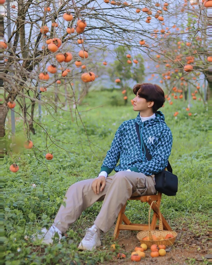 Kinh nghiệm đi Mộc Châu mùa thu - săn ảnh đẹp mùa hồng chín rộ