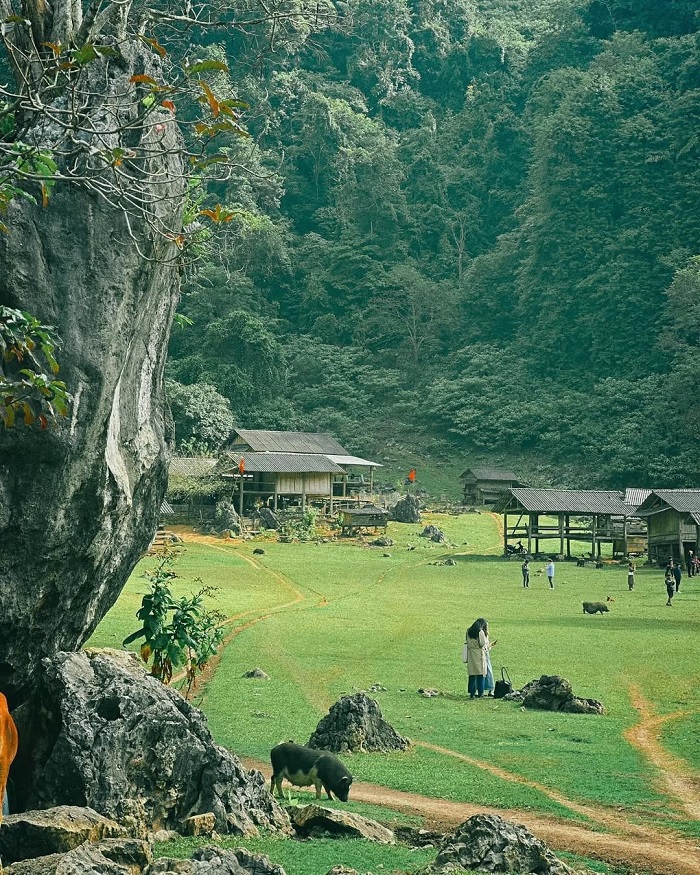 Kinh nghiệm đi Mộc Châu mùa thu - khám phá nhiều điểm đến tuyệt đẹp