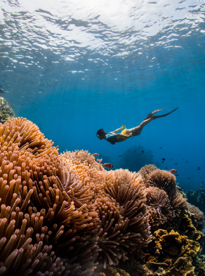 Top hòn đảo đẹp ở Thái Lan - đảo Koh Tao