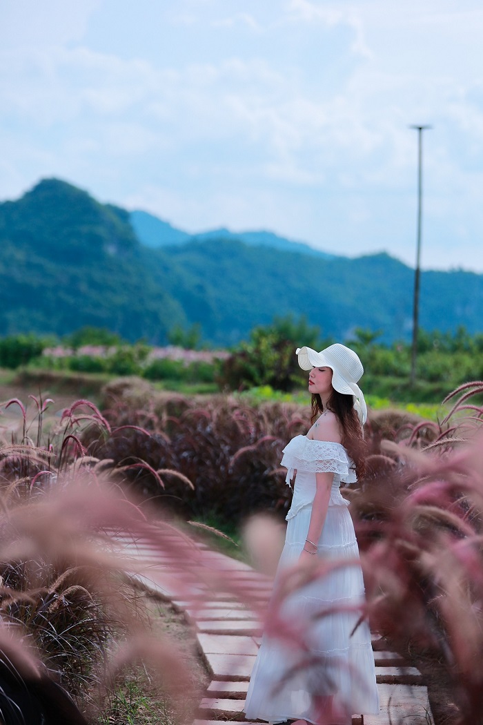 Mộc Hoa Garden Mộc Châu chỉ cần đứng vào là có ảnh đẹp