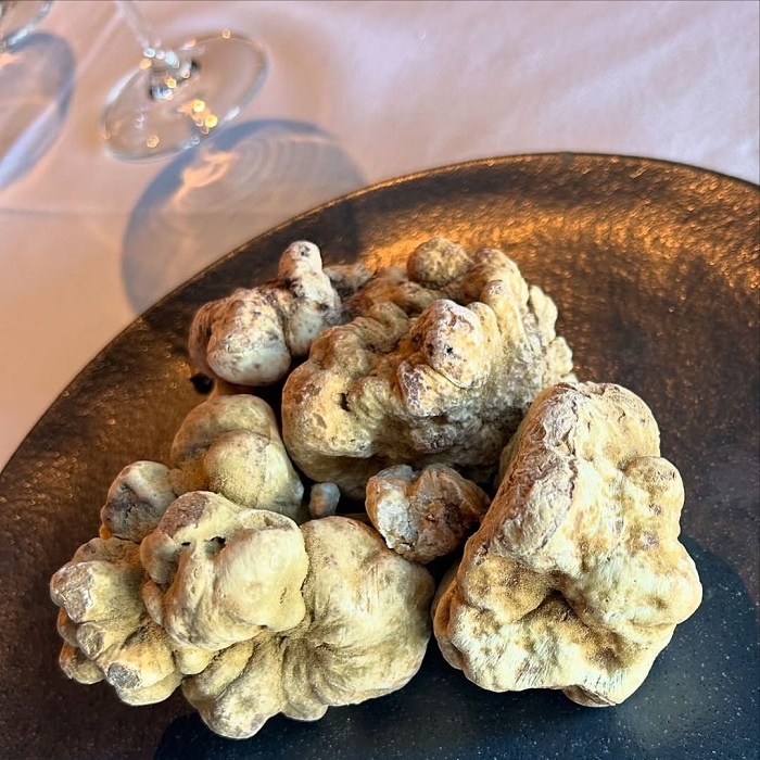 Nấm Truffle Alba trắng là món ăn đắt đỏ nhất thế giới giá hàng tỷ đồng