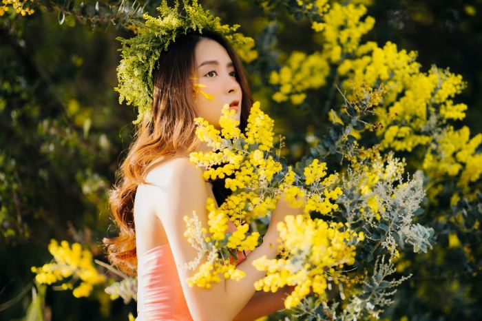 Mùa hoa mimosa Đà Lạt tháng mấy