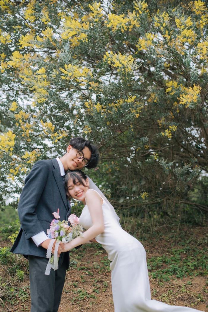 Mùa hoa mimosa Đà Lạt 