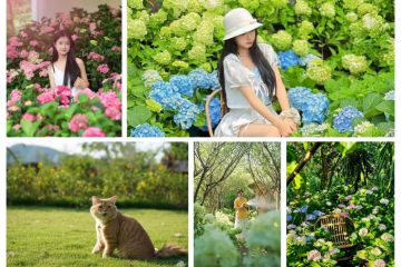 An Lành Farm Yên Bái đẹp xiêu lòng, chấm 100 điểm vẫn chưa đủ