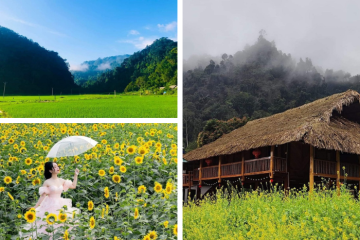 Bản Bung Tuyên Quang nằm giữa rừng già, mộc mạc mà yên bình đến lạ