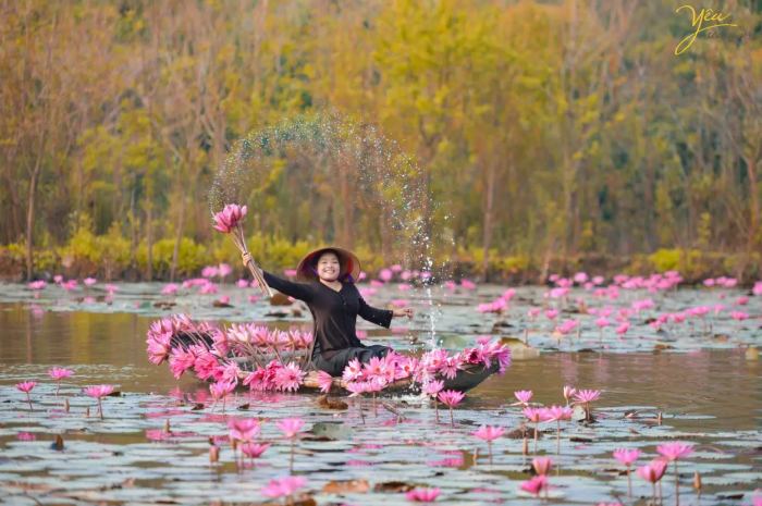 mùa nước nổi ở Đồng Tháp hái rau