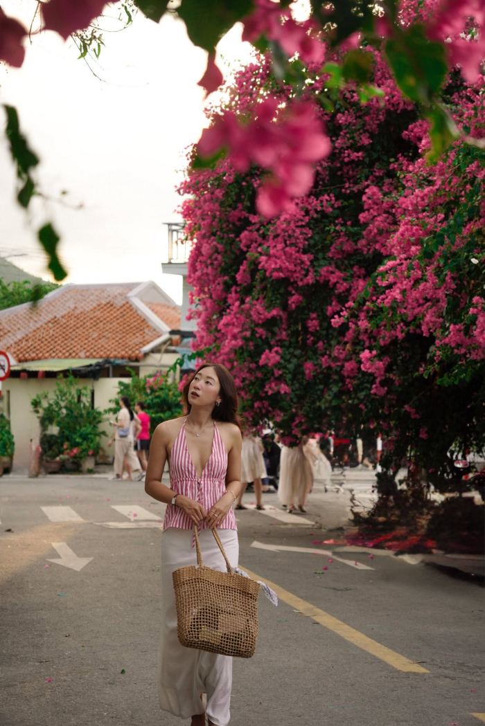 cung đường hoa giấy đẹp ở Nha Trang 