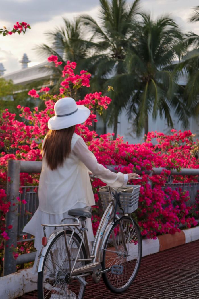 cung đường hoa giấy đẹp ở Nha Trang 