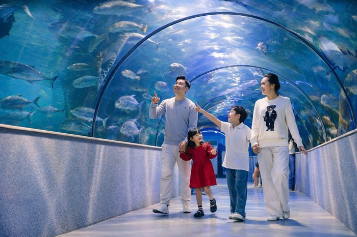 Điểm du lịch cho gia đình có trẻ nhỏ nếu ở Hà Nội là VinKE & Thủy cung Times City - Ảnh: VinWonder