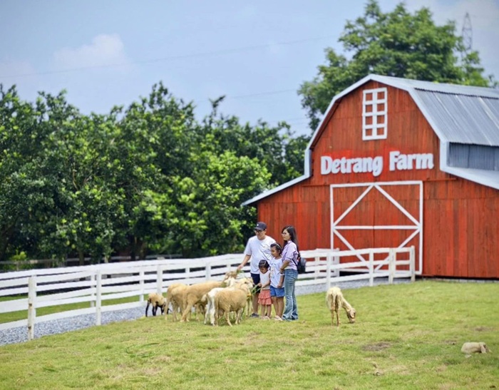 Thêm một điểm du lịch cho gia đình có trẻ nhỏ ở Hà Nội được đánh giá cao là Detrang Farm - Ảnh: Booking Tour Villa Homestay