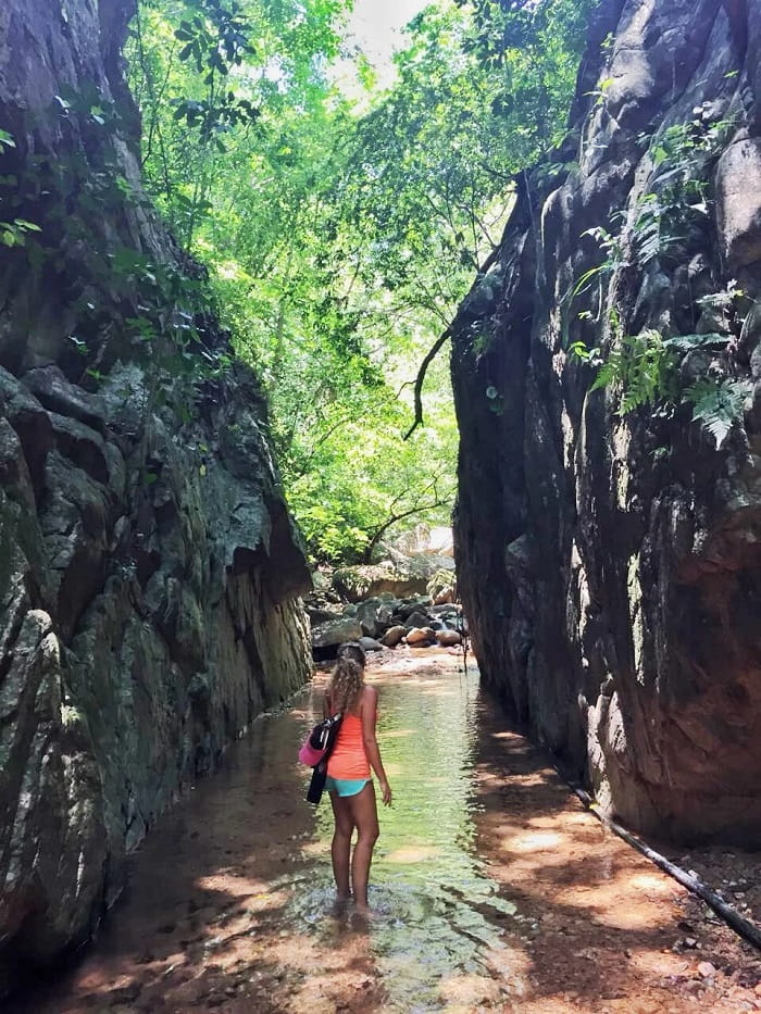 Hiking là điều nên làm khi tới thành phố Puerto Vallarta Mexico